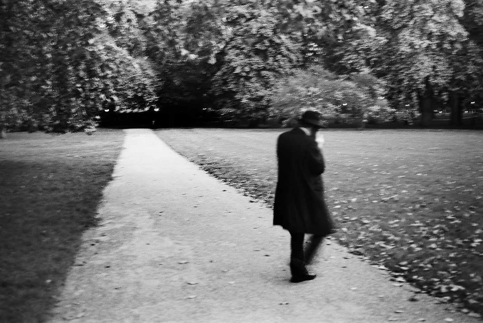 Man in Hyde Park, London 2019